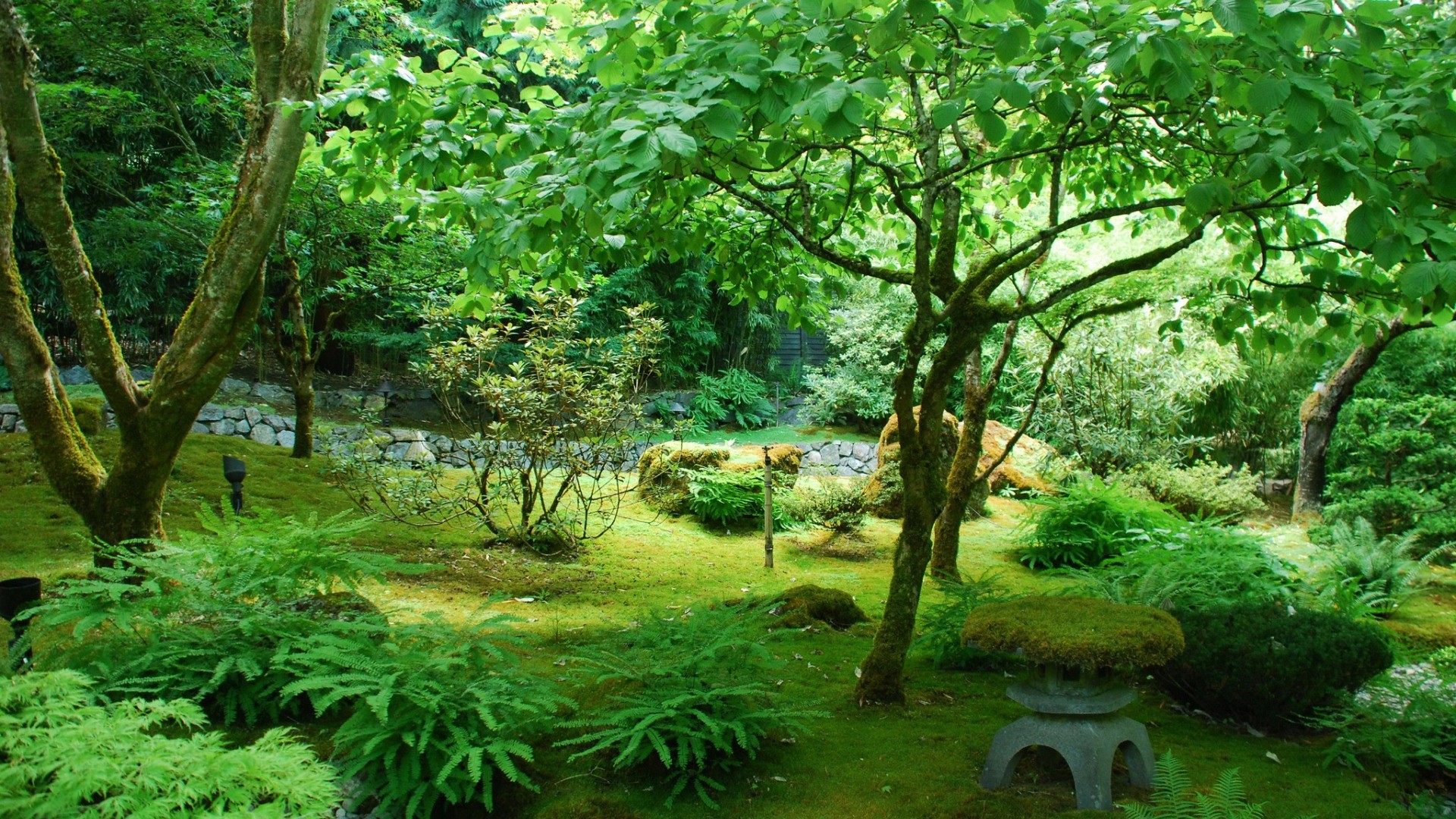 高一到高三必读名著，高一到高三必读名著清单