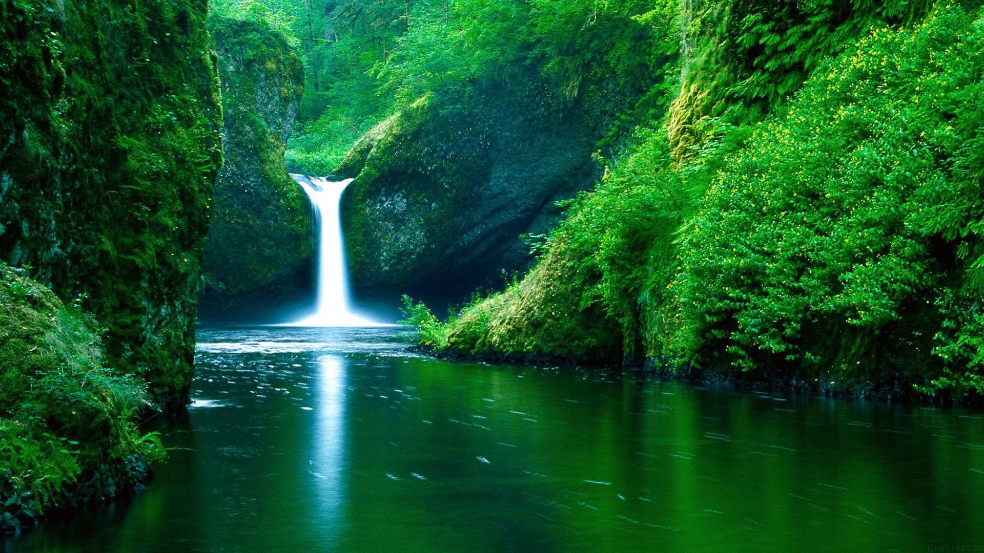 高中必读名著书目2023最新公布，高中必读名著书目2023最新公布图片？