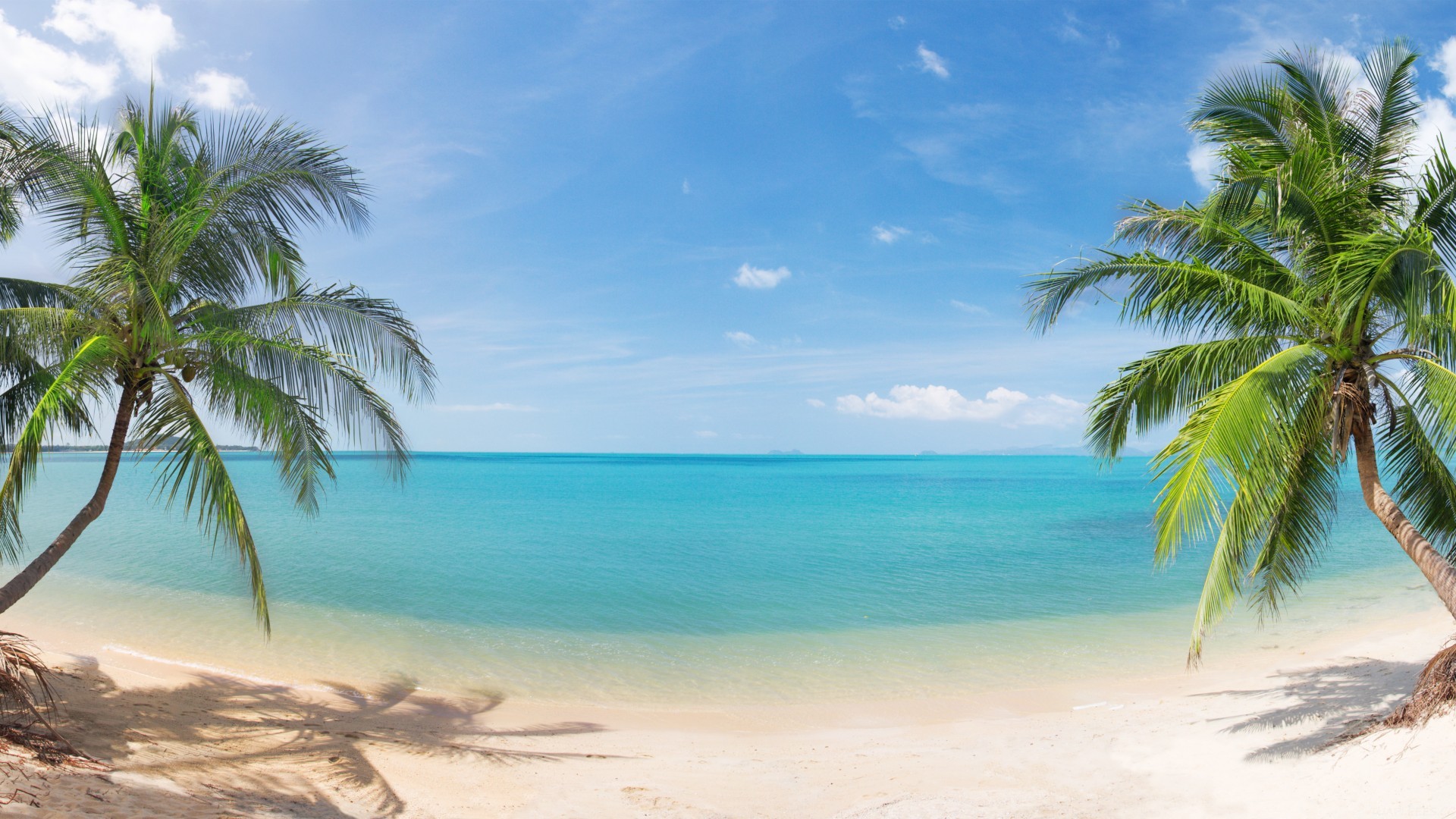 高三体检报告怎么查询，高三体检报告怎么查询2023