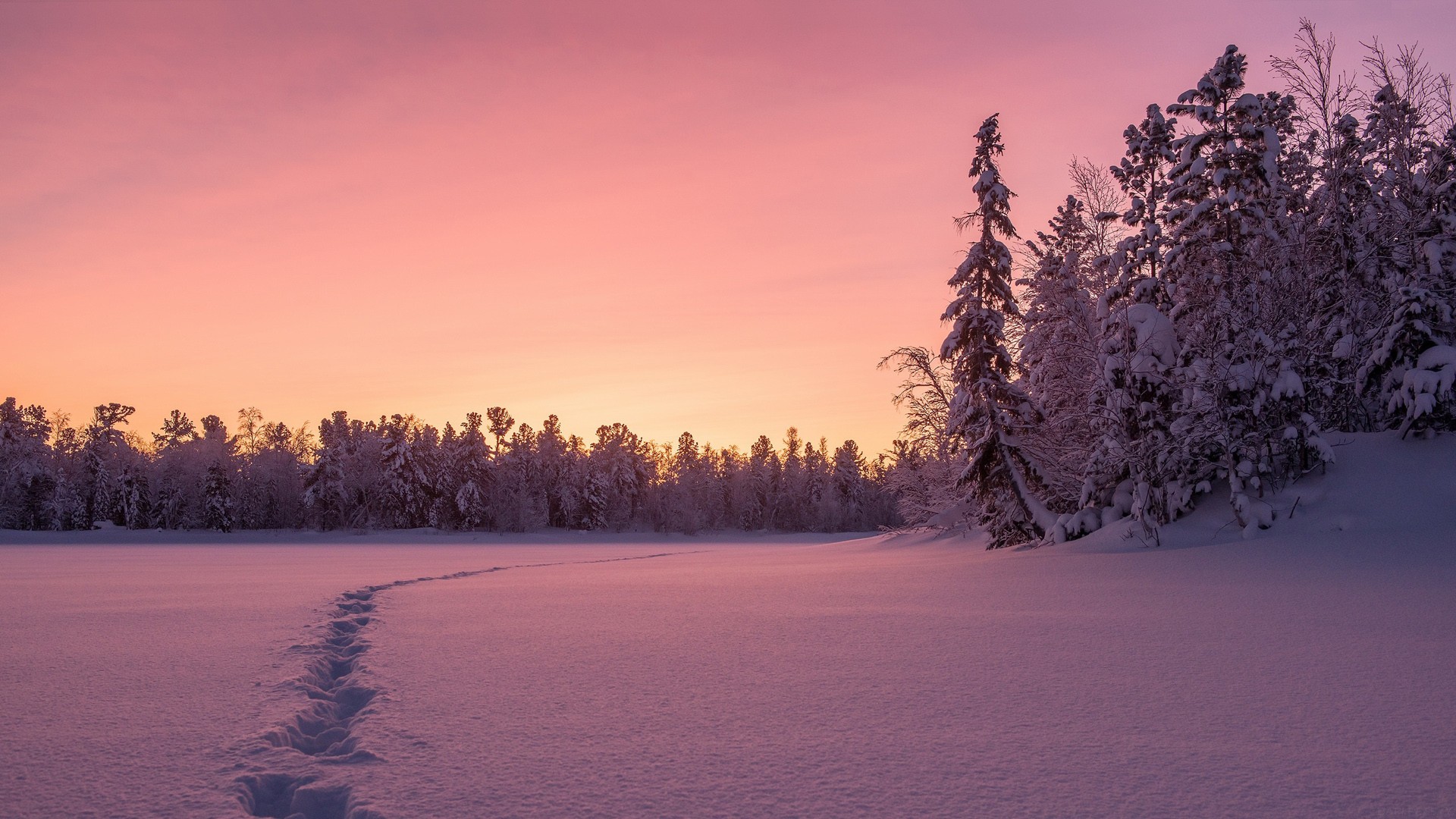 三年级上册英语26个字母,三年级上册英语26个字母手抄报