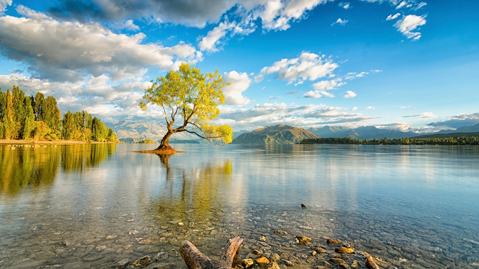 初中化学教师资格证，初中化学教师资格证考什么内容