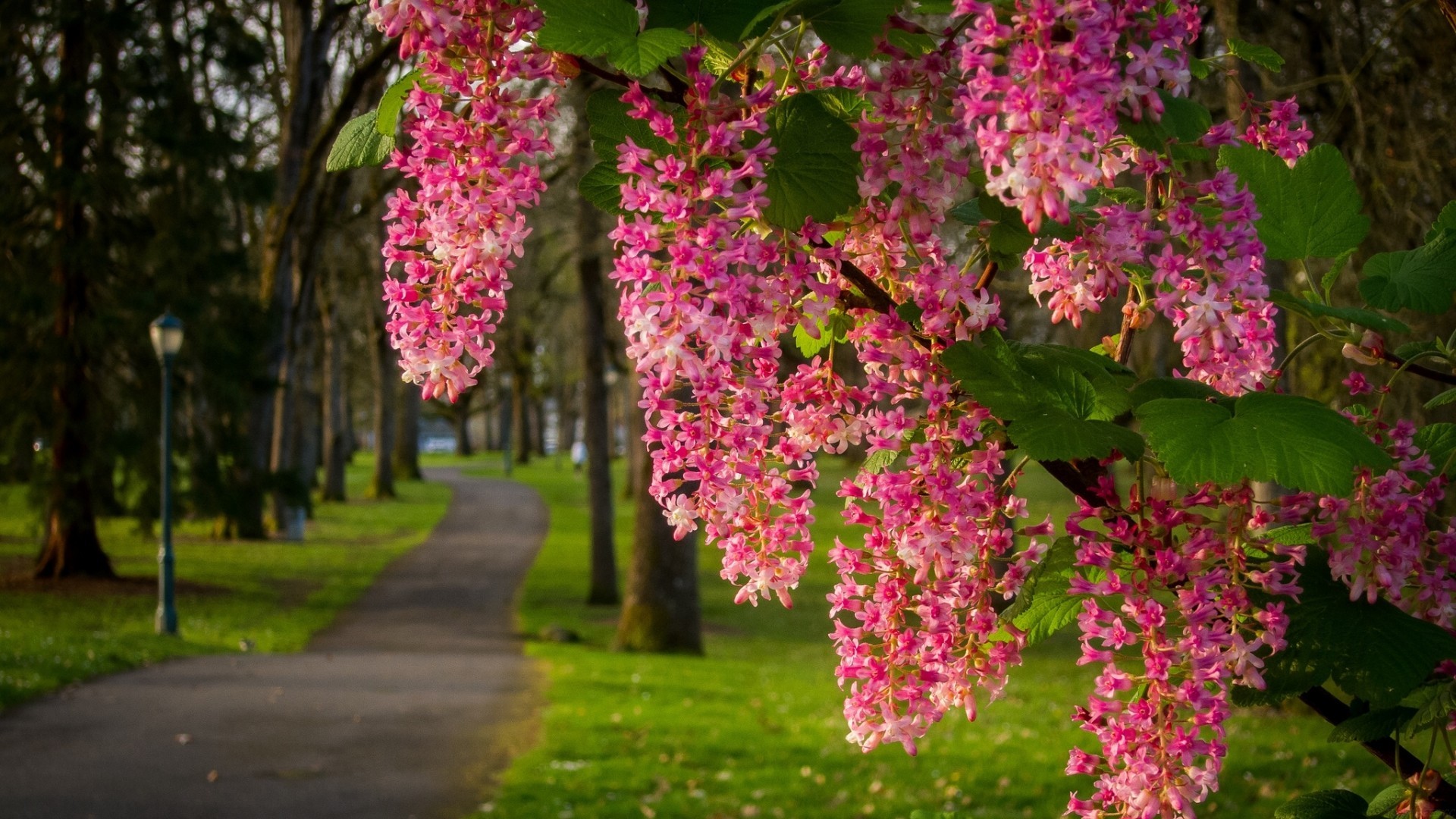 初中毕业生登记表,初中毕业生登记表填写范例