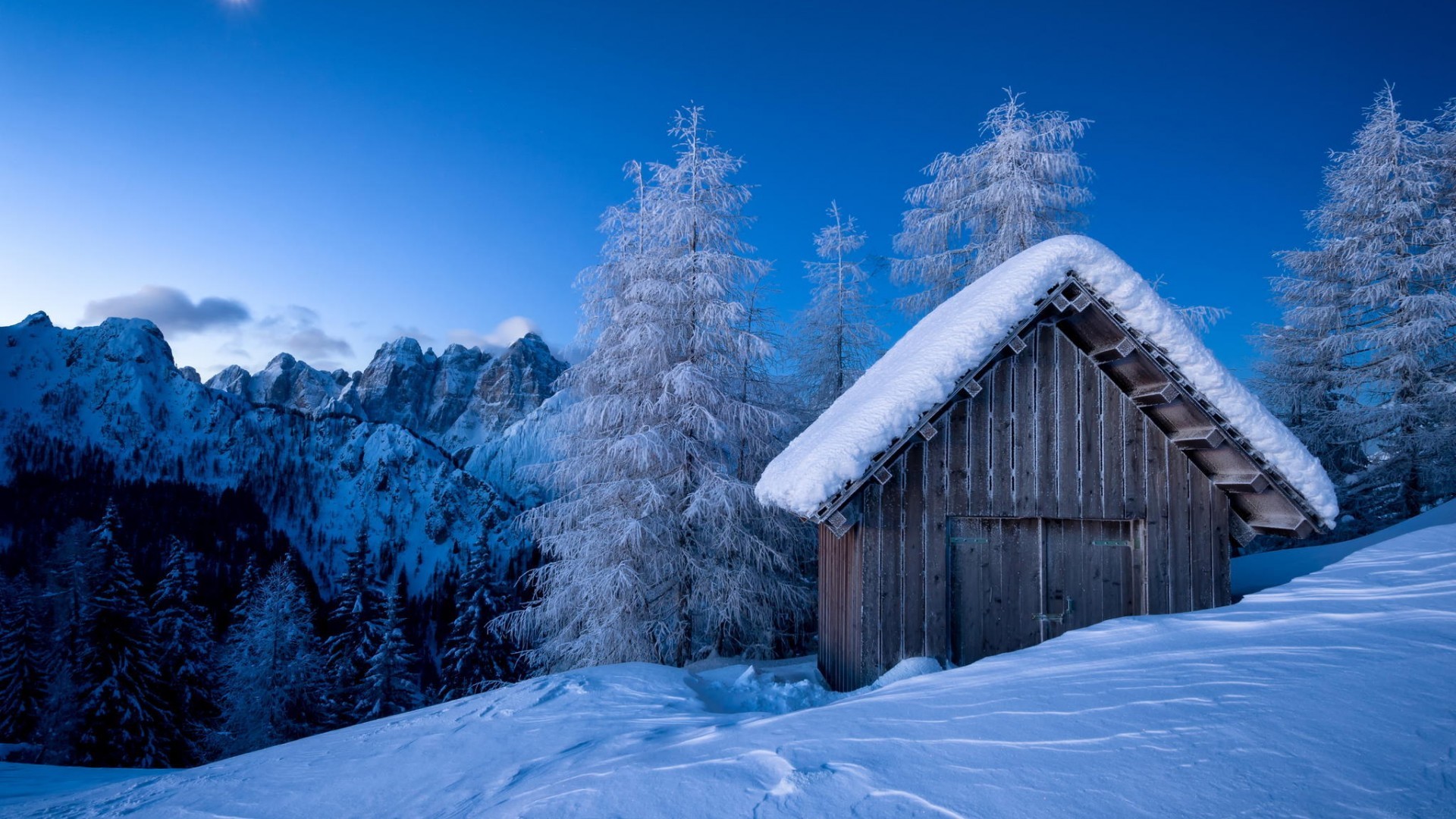 五年级语文上册白鹭课文