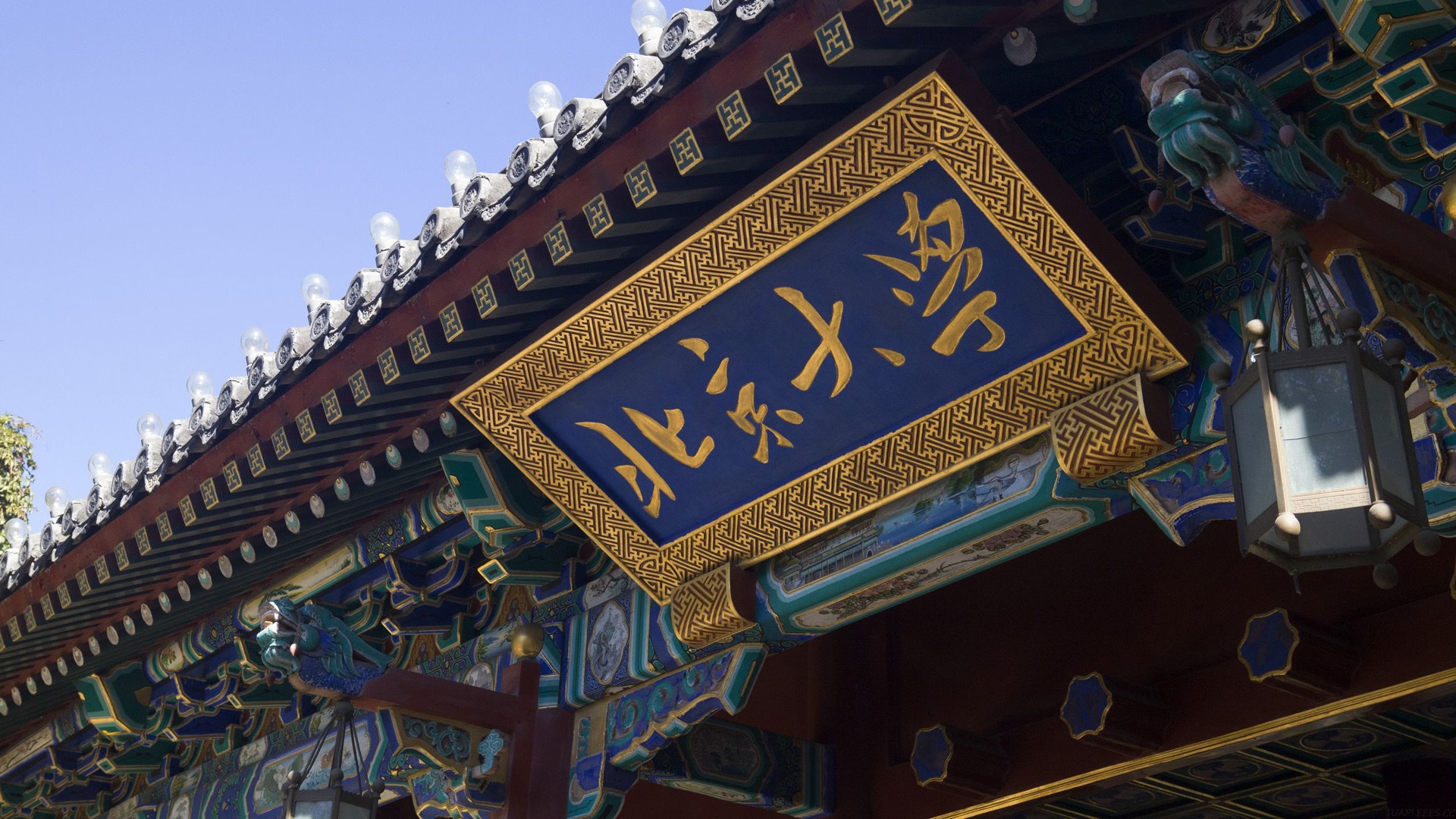 照片里的故事500字初中作文，照片里的故事500字初中作文毕业？