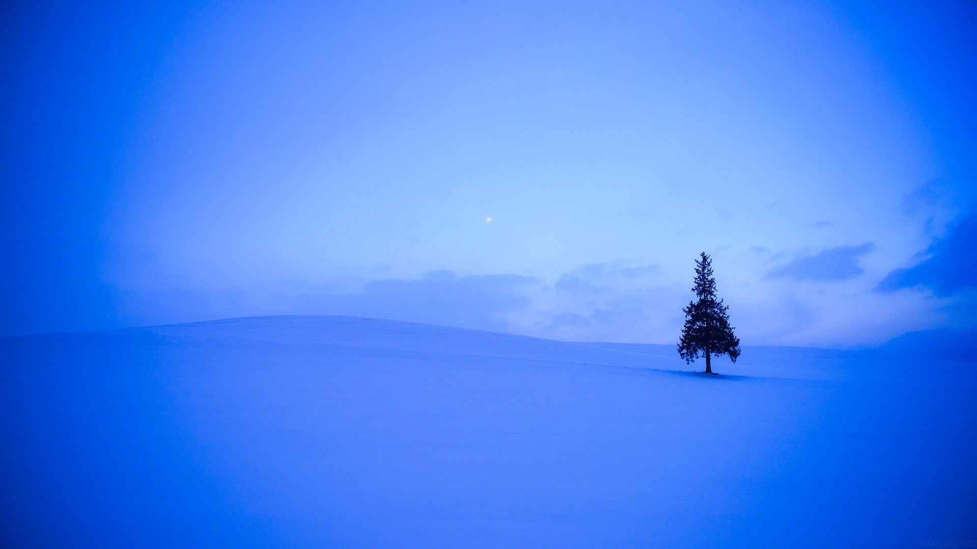 初中毕业感言,初中毕业感言简短精辟
