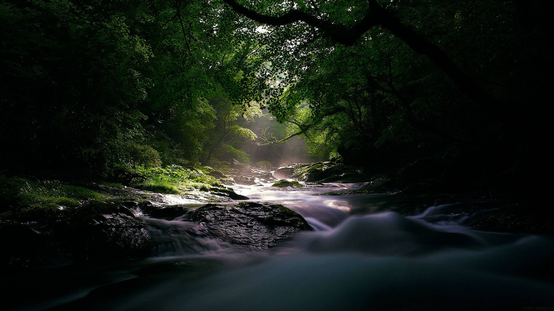 2023年高考语文作文，2023年高考语文作文优秀范文