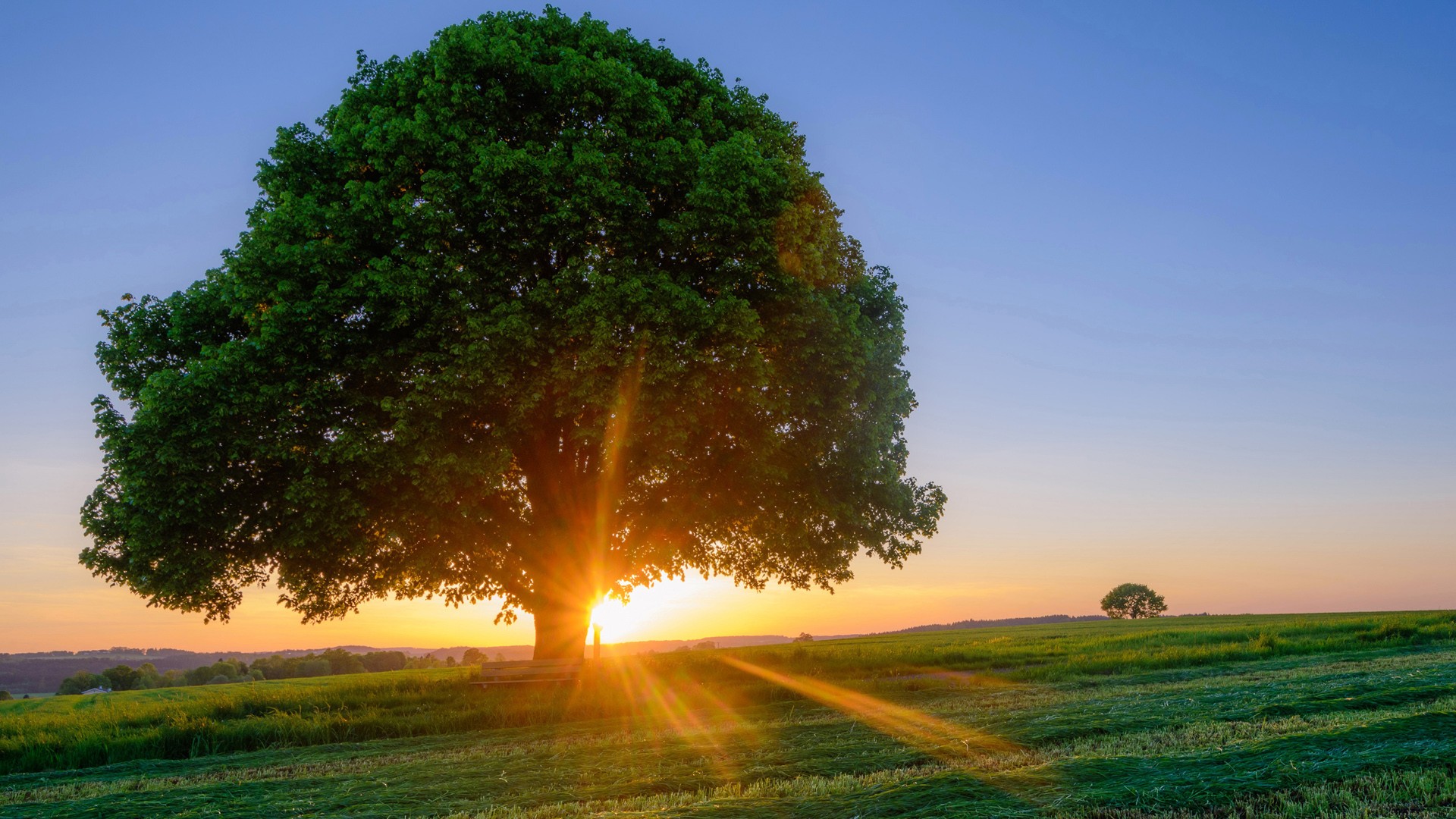 初等数学，初等数学包括哪些内容
