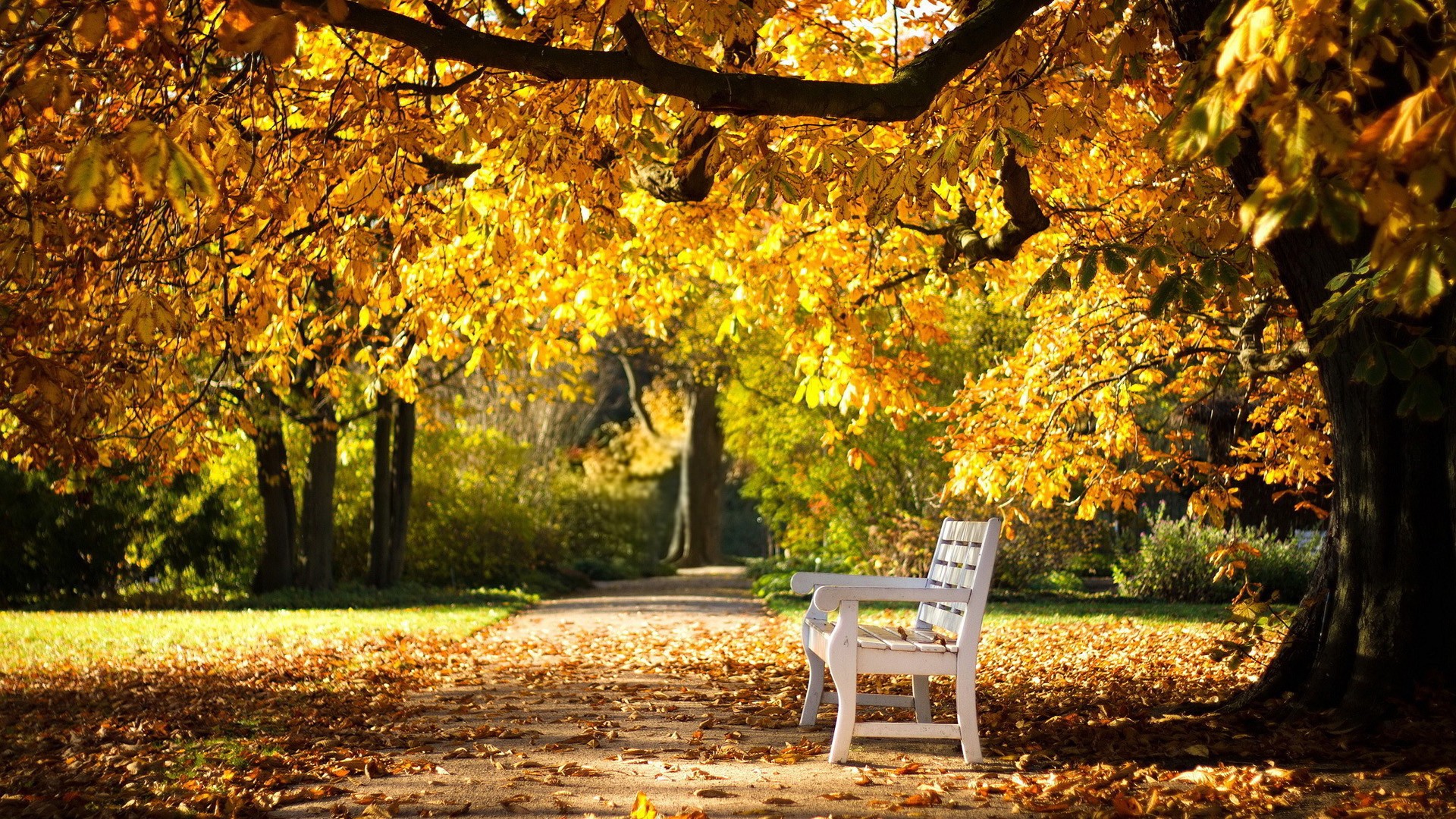 高考英语口语通过率高吗，高考英语口语通过率高吗山东
