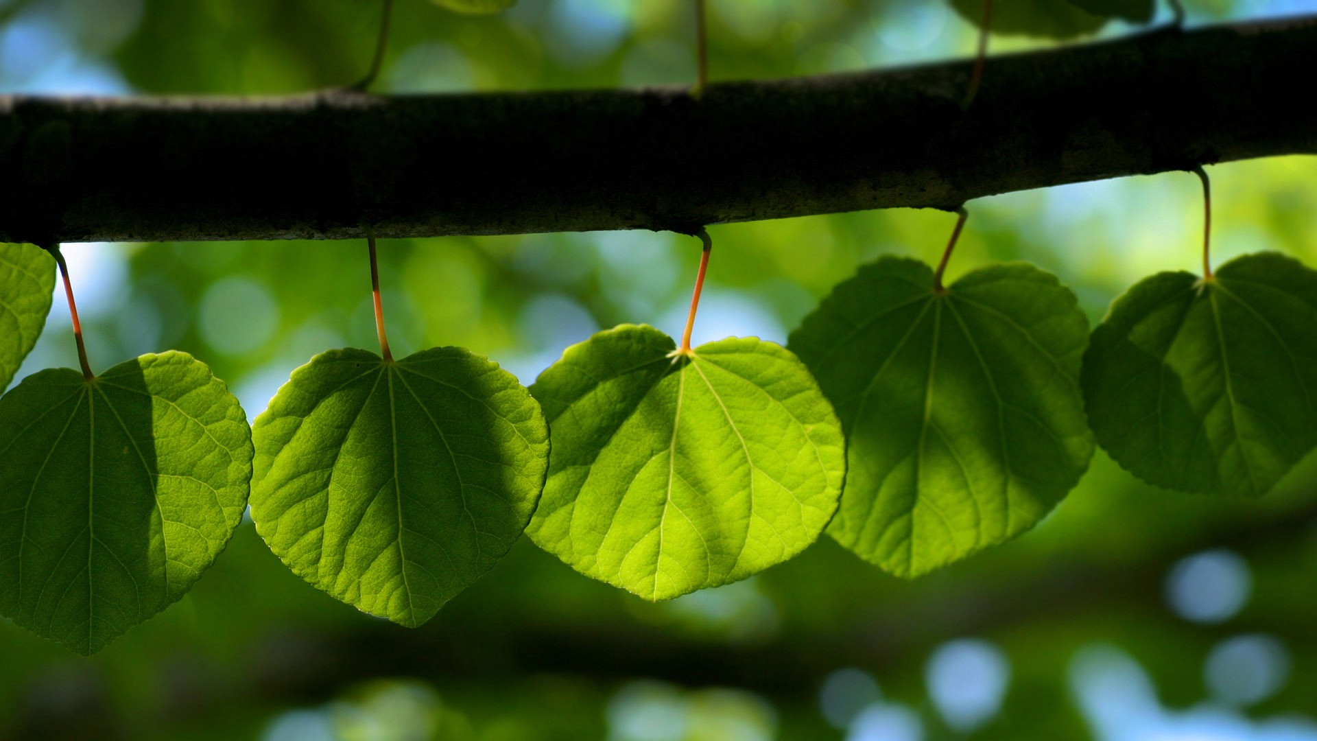 初中化学八大沉淀，初中化学八大沉淀及其颜色