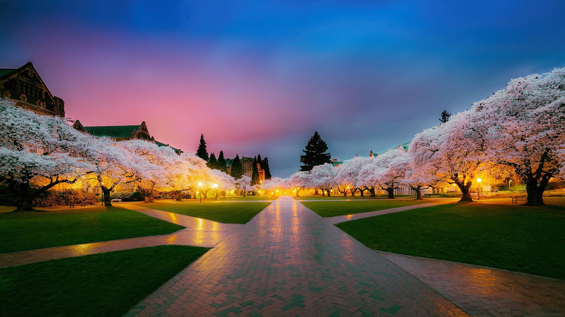 高中英语手抄报，高中英语手抄报简单又漂亮？