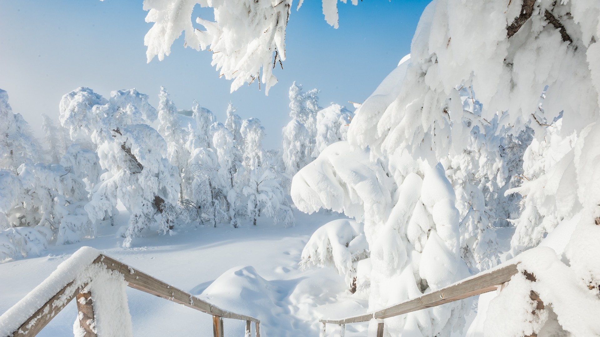 韦博英语价目表，韦博英语价格等级价目表？