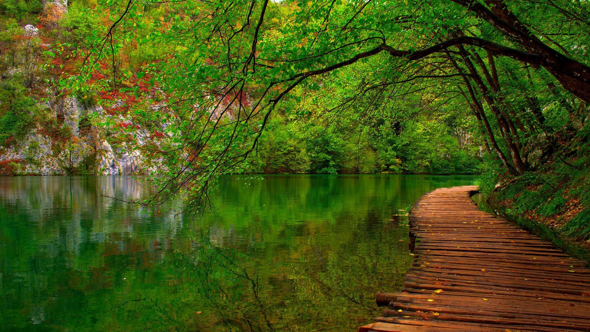 三年级观察日记，三年级观察日记300字左右？