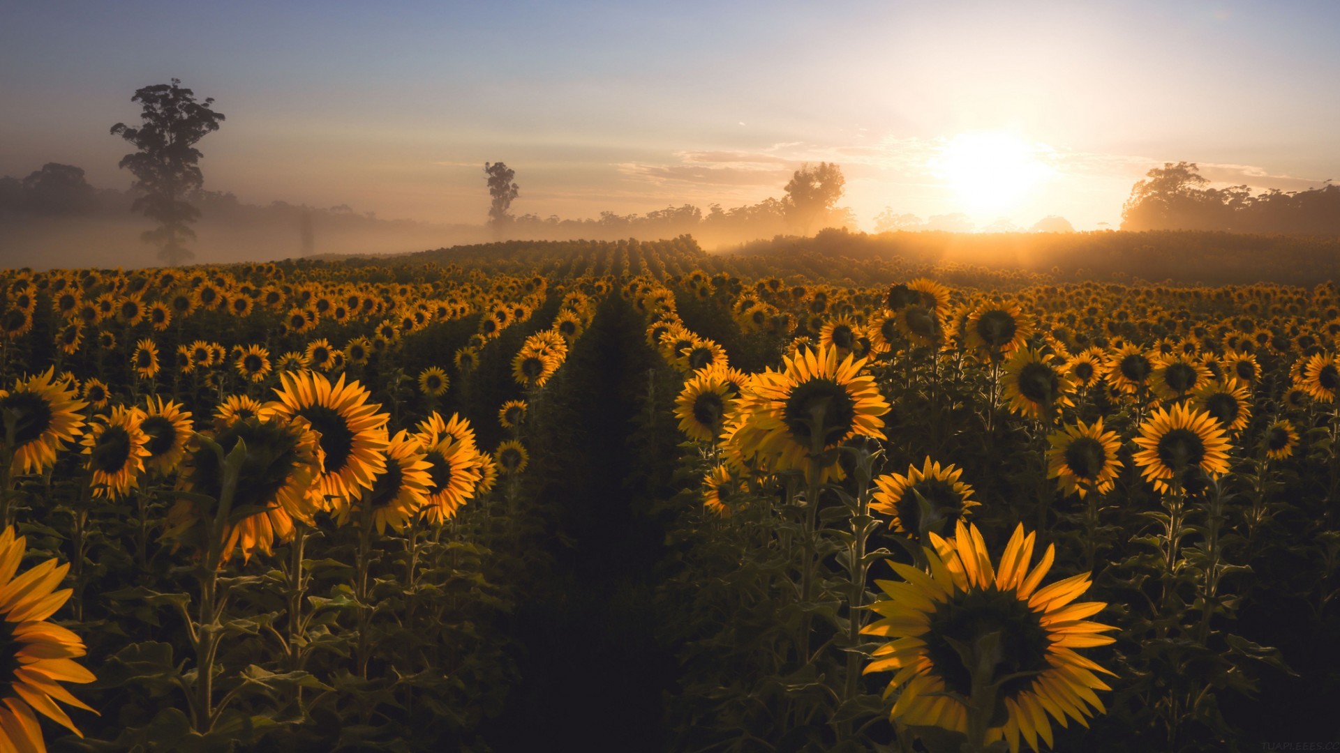 高中必备摘抄金句，高中必备摘抄短句100句