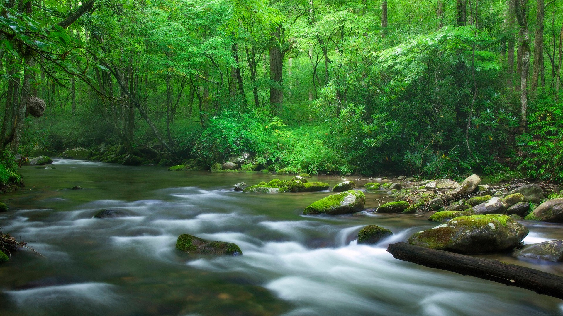 高中3+1+2科目最佳搭配，高中3+1+2科目最佳搭配文科？