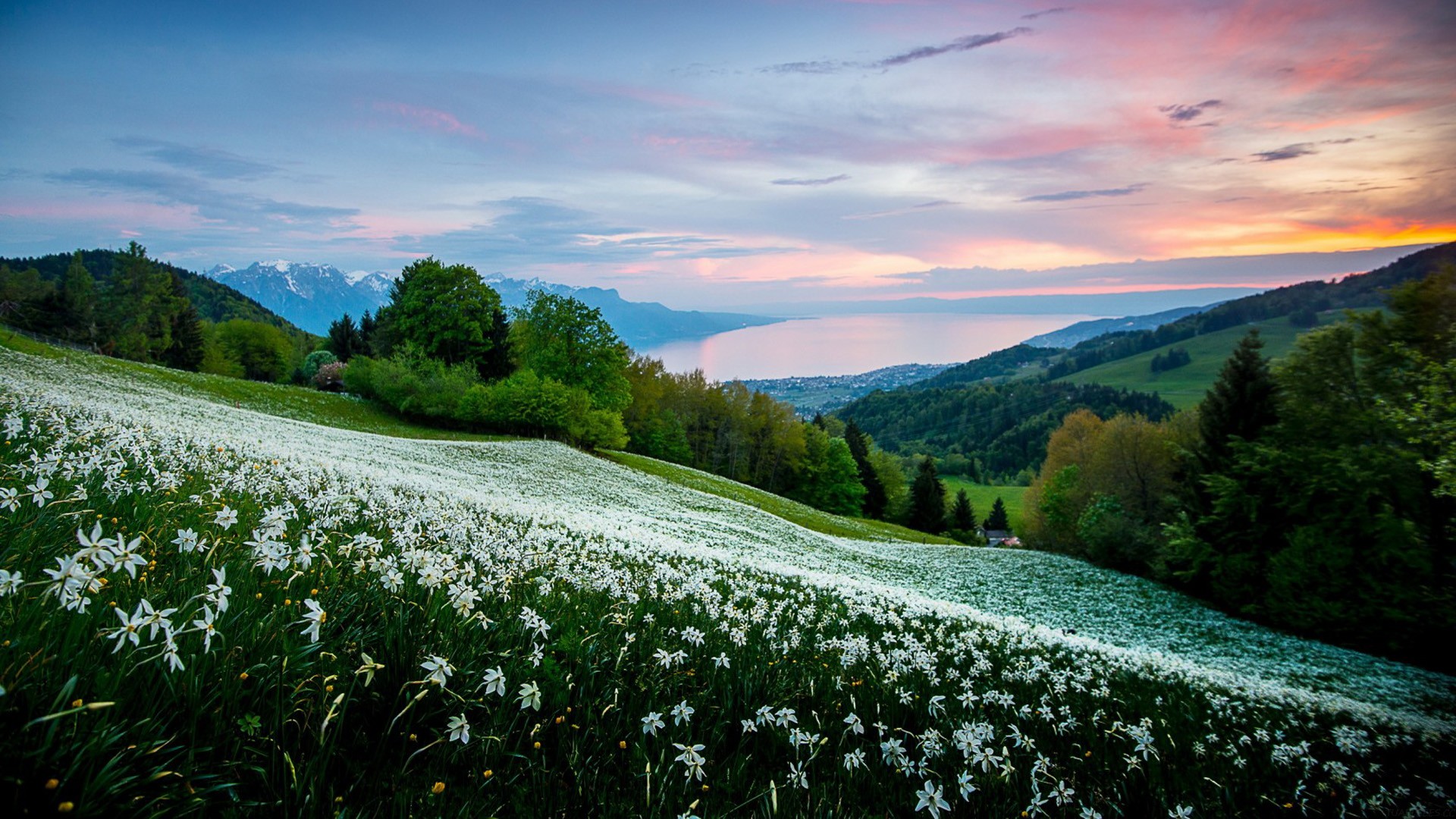 如何学好高中英语，如何学好高中英语 最有效的方法？