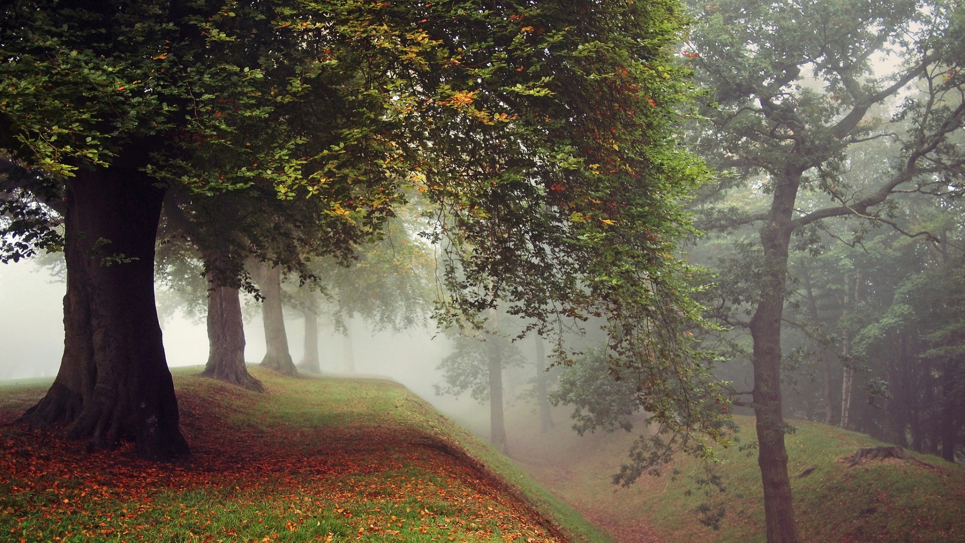 考不上高中怎么办,考不上高中怎么办女孩学点什么好?