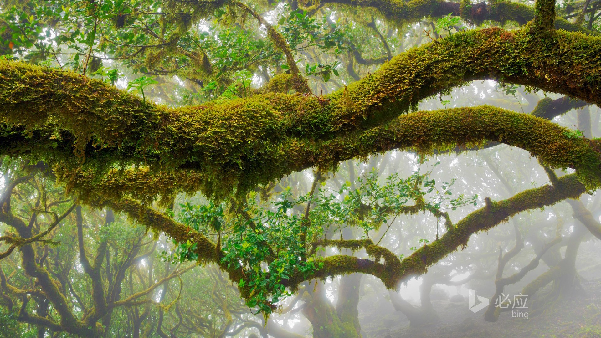 人教版高中英语教材，人教版高中英语教材有几本？