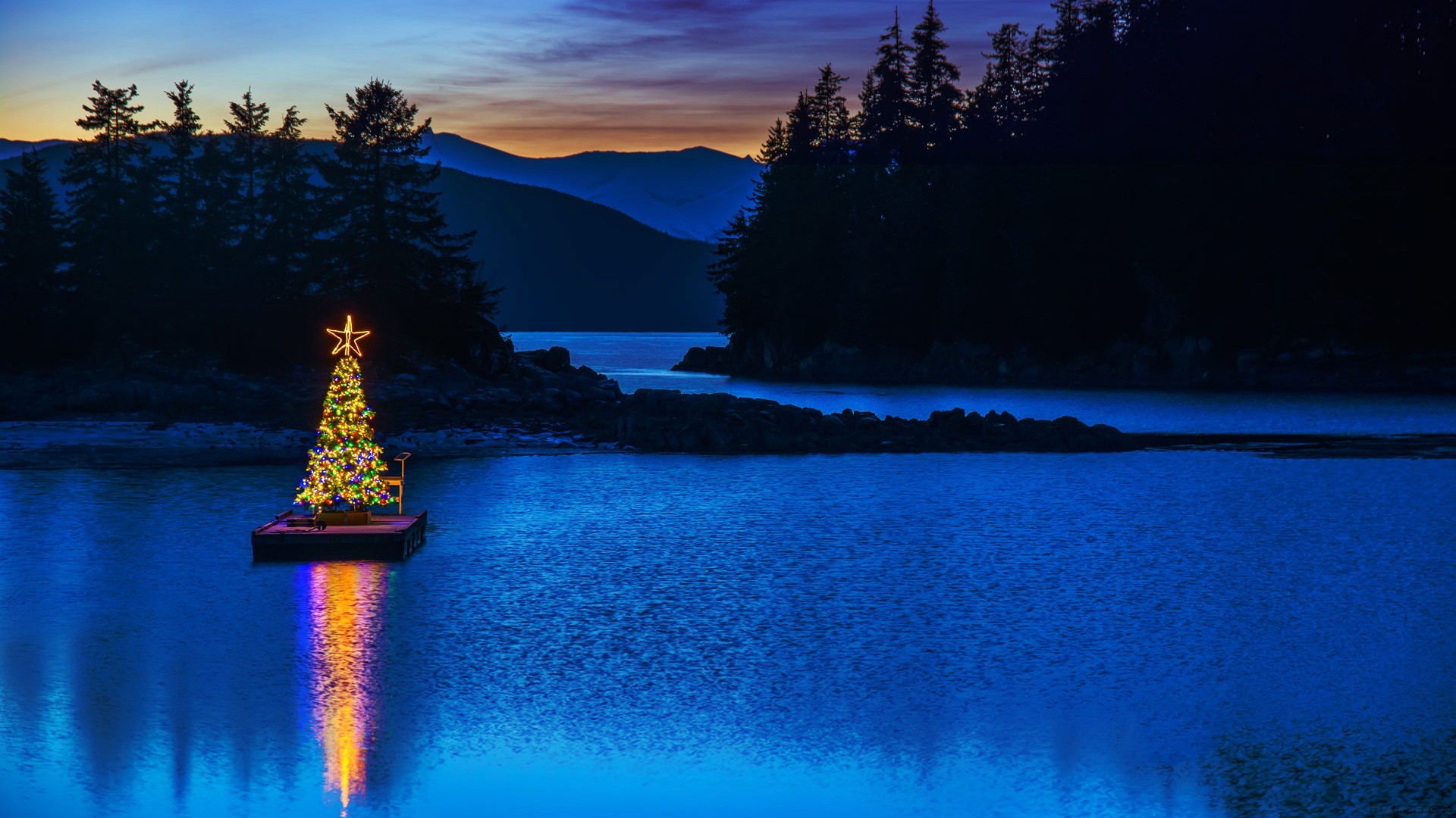 初中英语,初中英语单词大全汇总