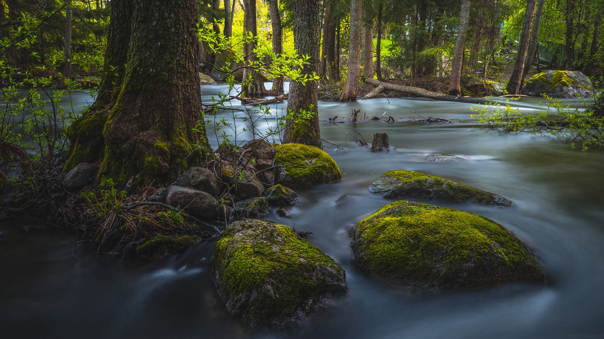 三年级数学作业设计优秀案例，小学三年级数学作业设计优秀案例
