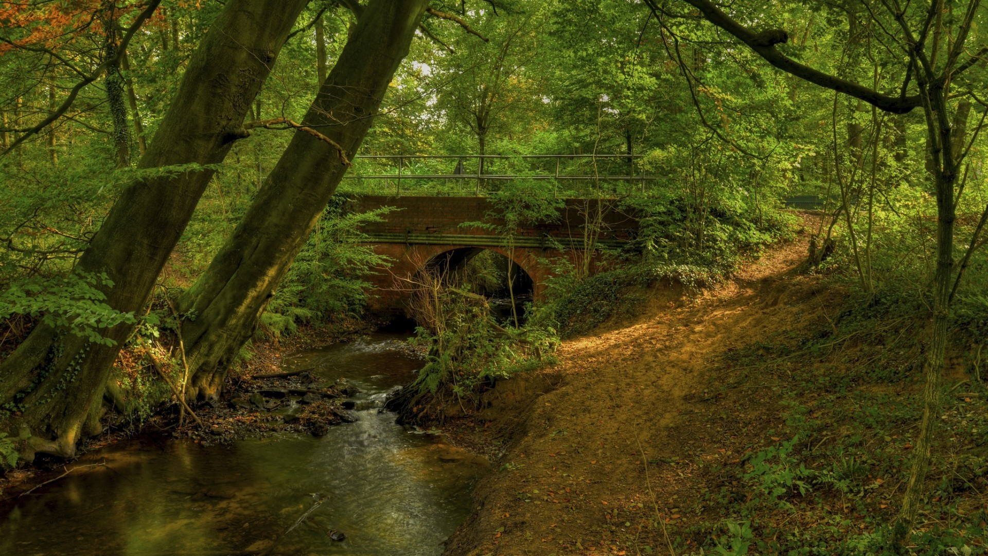 入团申请书1500字左右高中，入团申请书1500字左右高中生