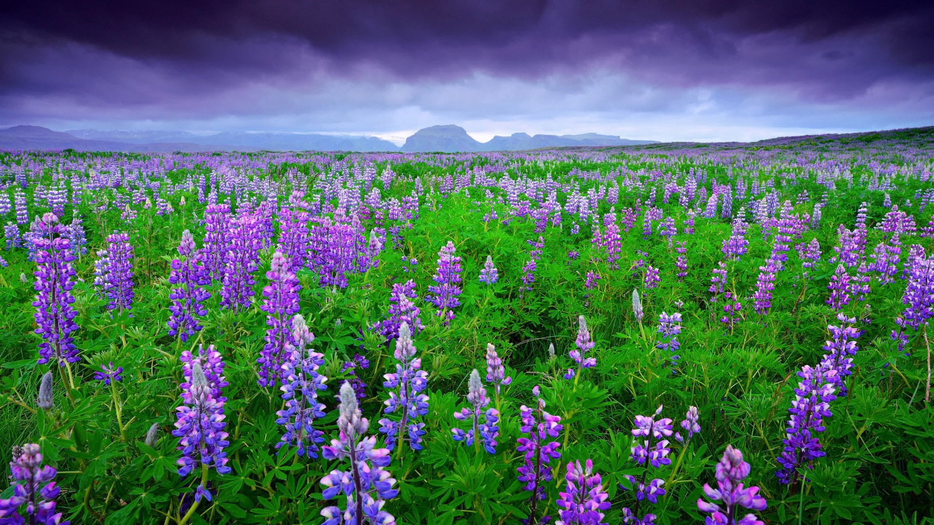 高中贫困生申请书,高中贫困生申请书怎么写