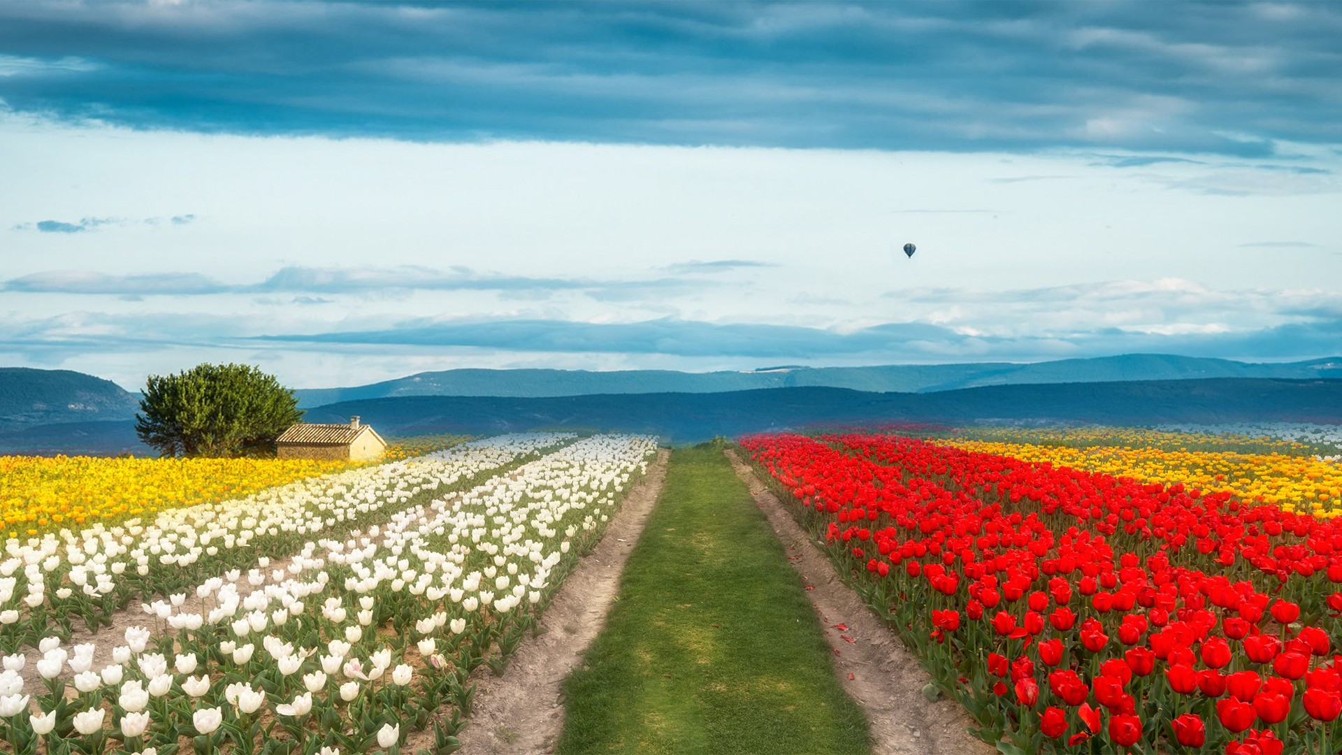 高考英语分数，高考英语分数组成