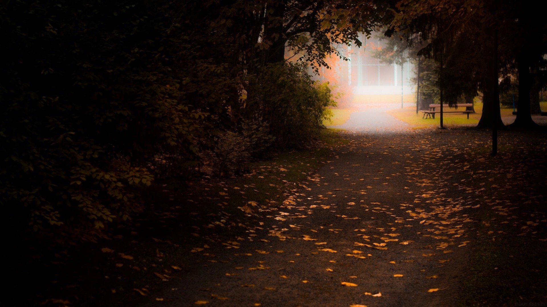 高三美术集训收费多少，高三美术集训收费多少成都