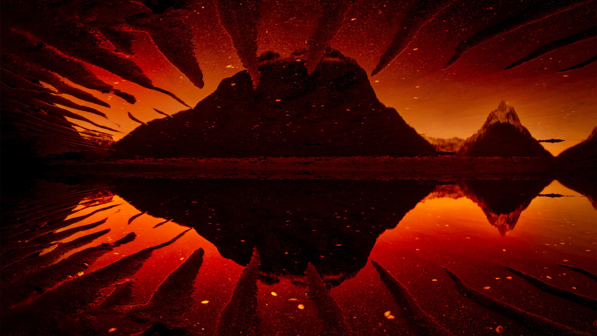 学生自我陈述高中综合素质评价,学生自我陈述高中综合素质评价800字