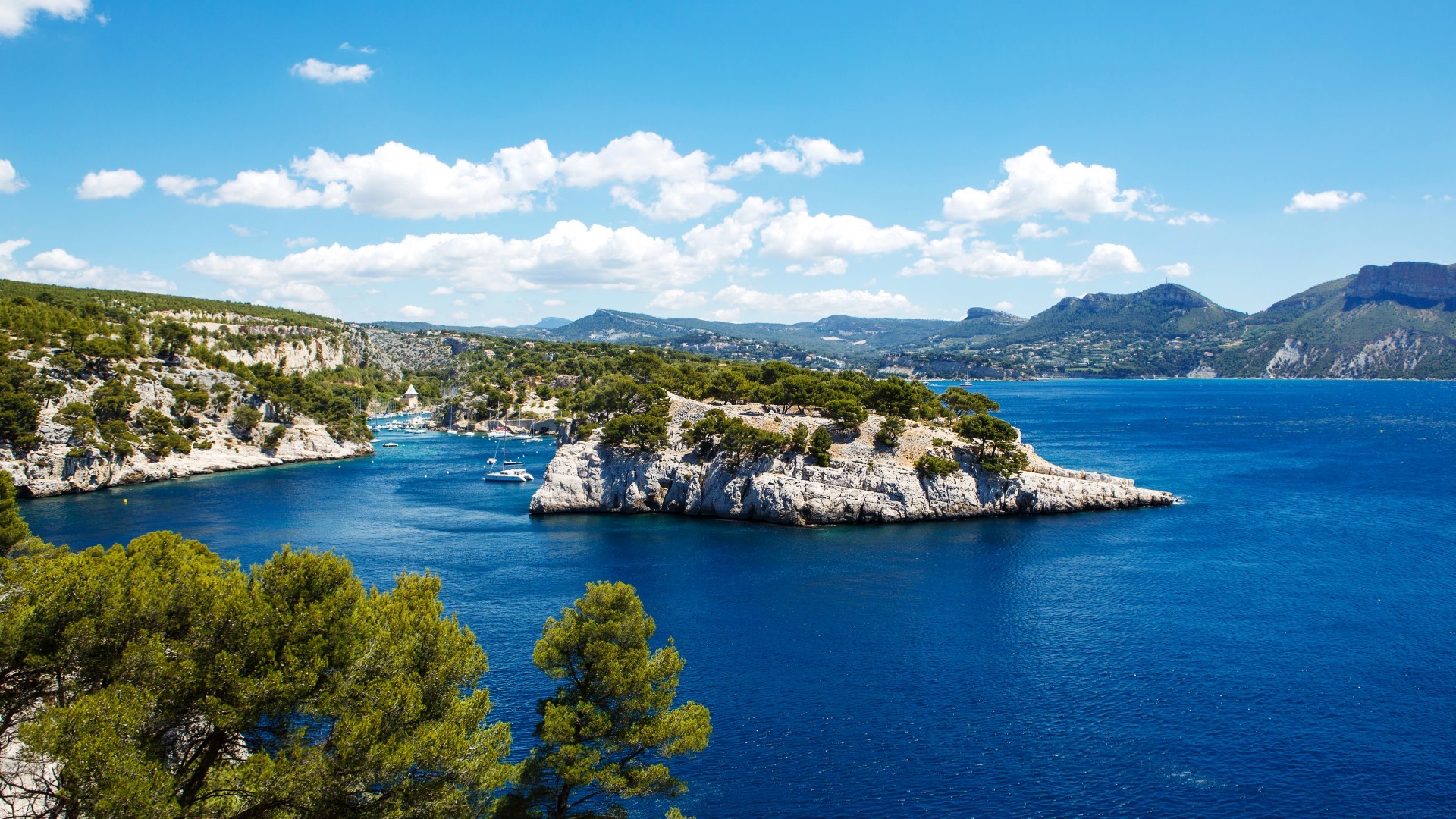 高中3500个必背英语单词电子版，高中3500个必背英语单词电子版百度网盘？