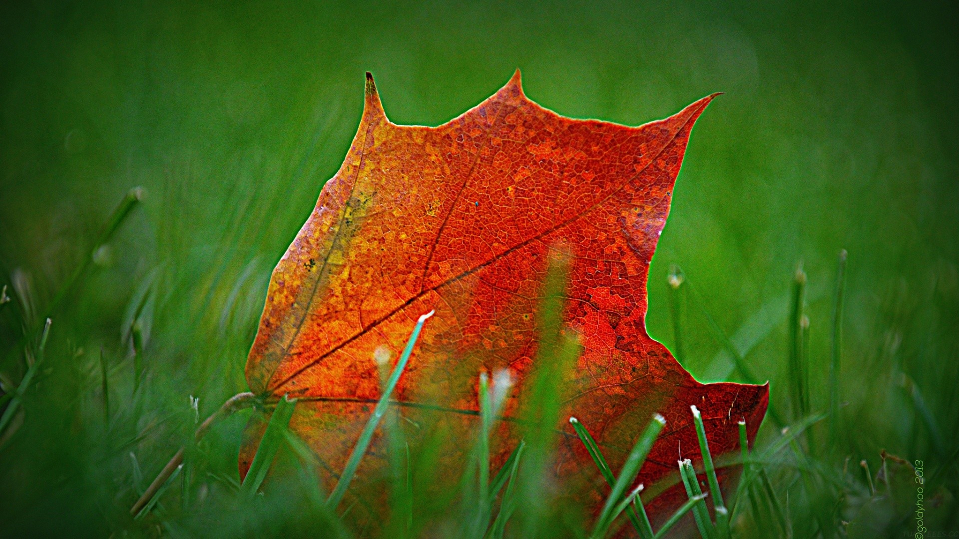 小学升初中数学模拟试题及答案，小学升初中数学模拟试题及答案2022？