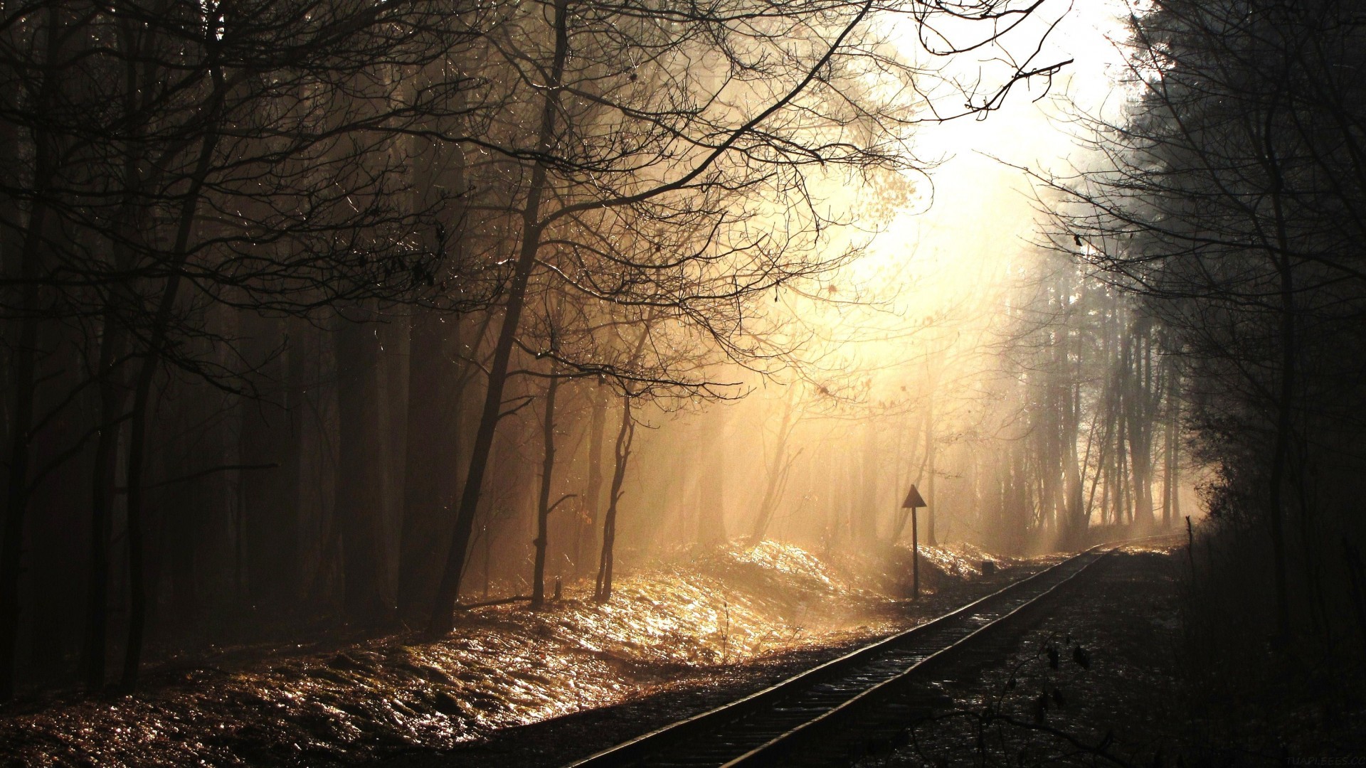 初中自评，初中自评800字？