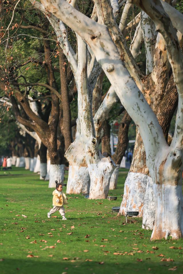 习作园|小学优秀作文精选