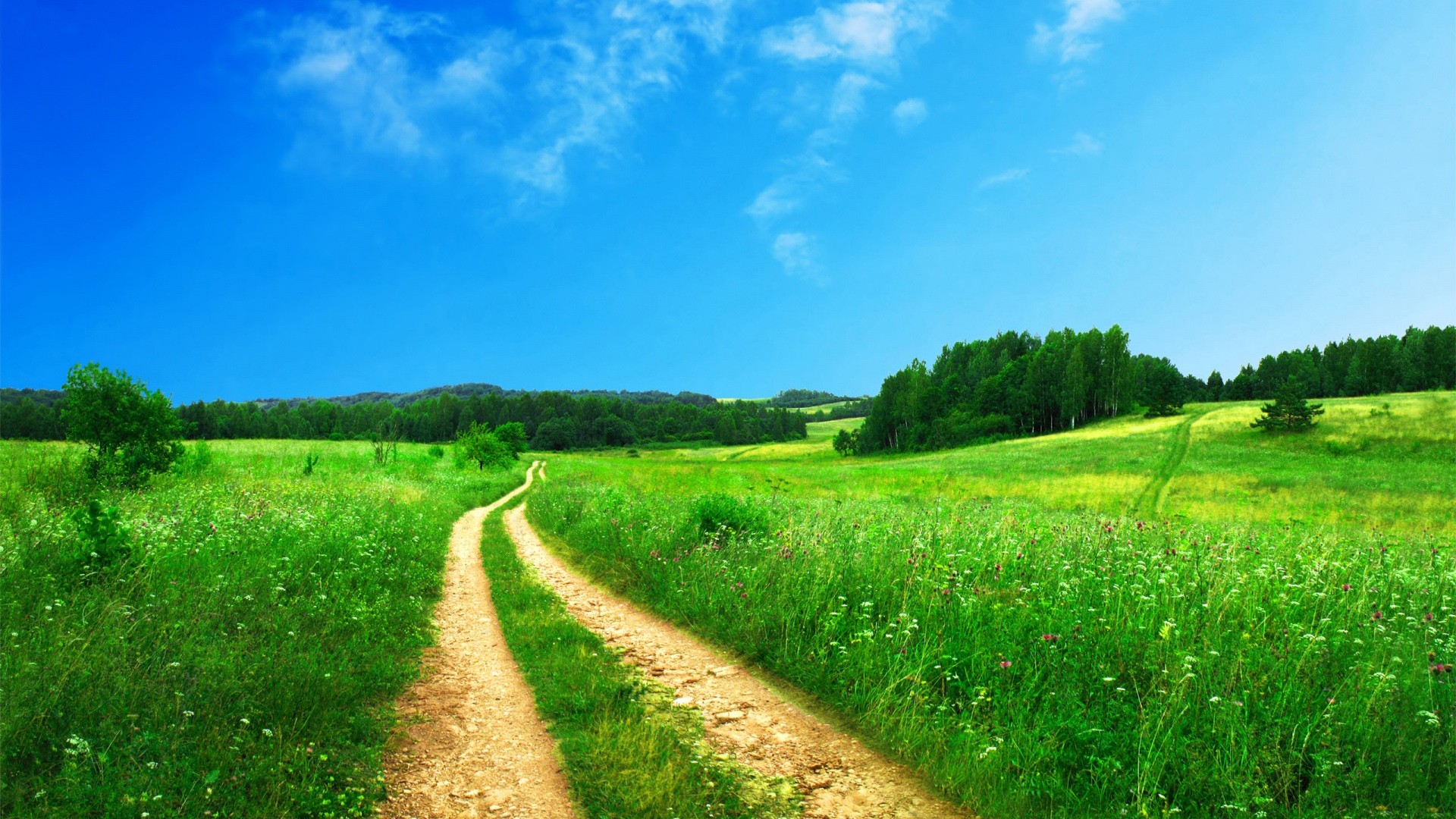 高中语文课本素材,高中语文课本素材整理?