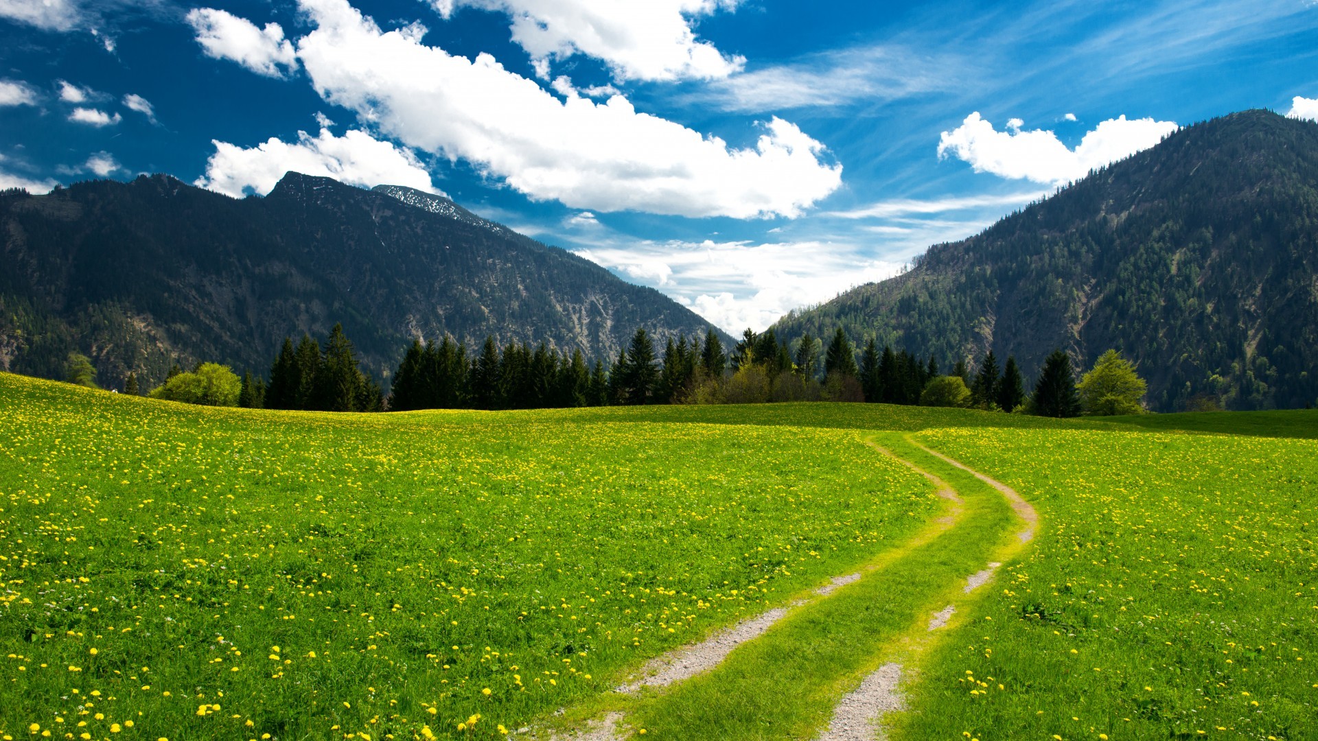 高中阅读书籍推荐书目