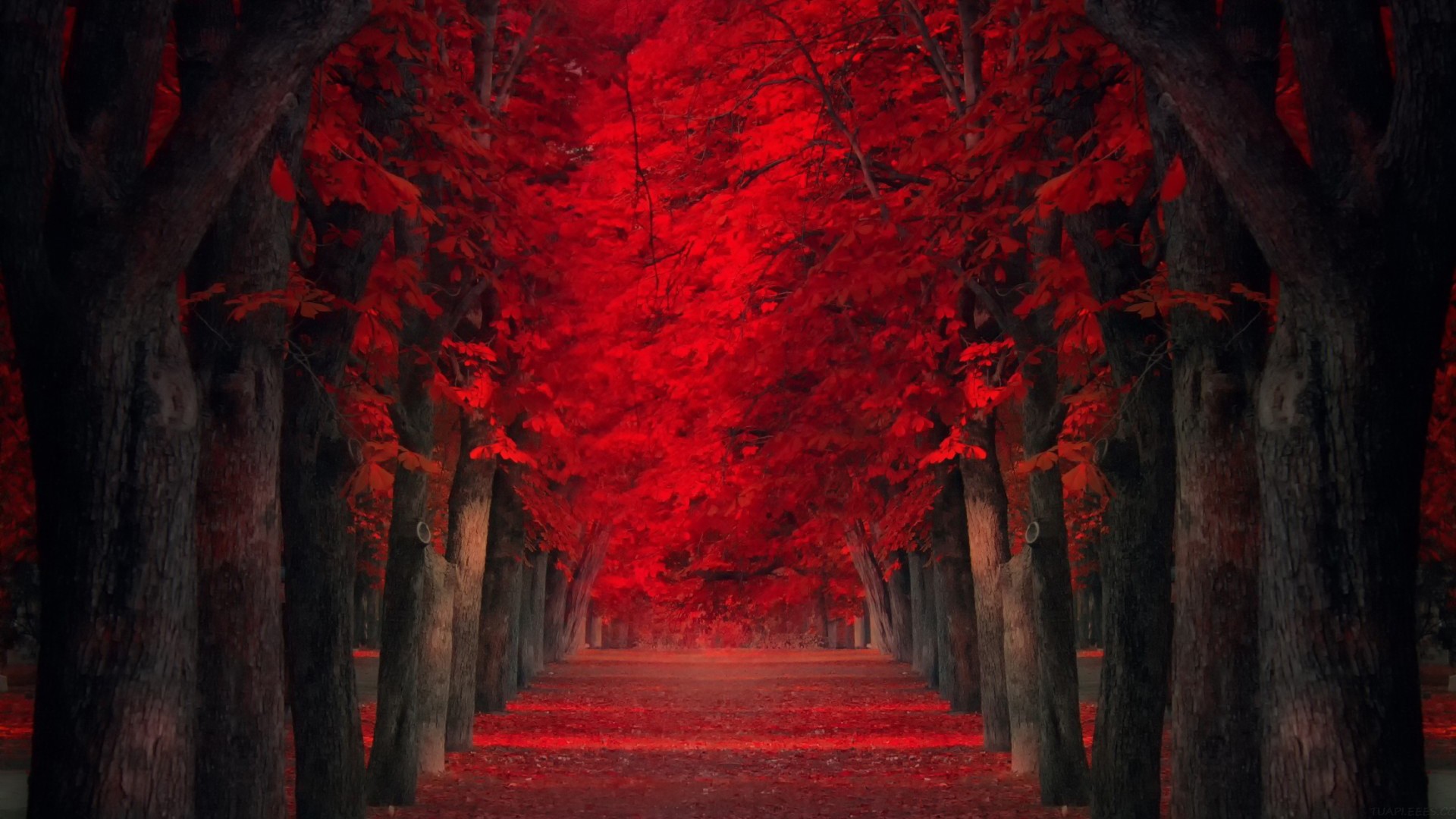 八年级上册生物，八年级上册生物书电子版