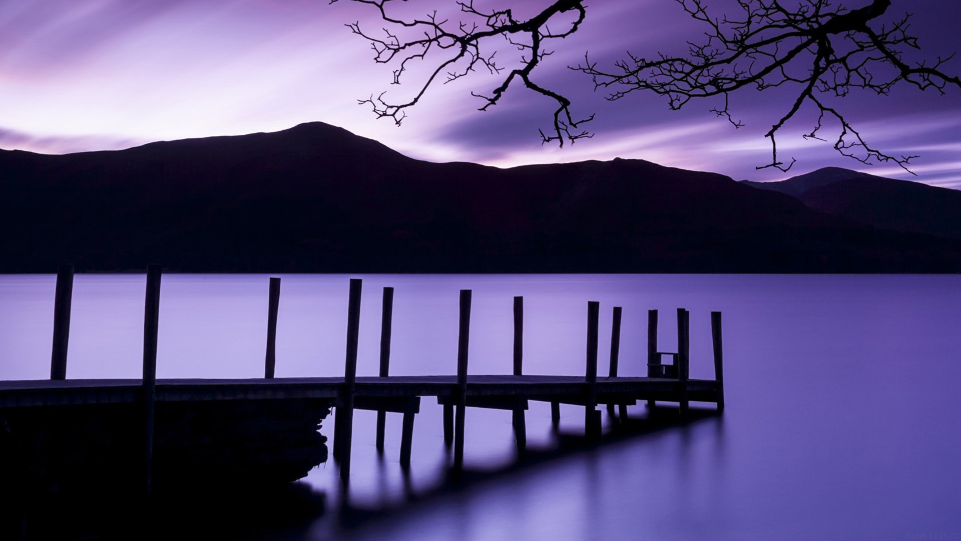 入团思想报告高中800字，入团思想报告高中800字2023年