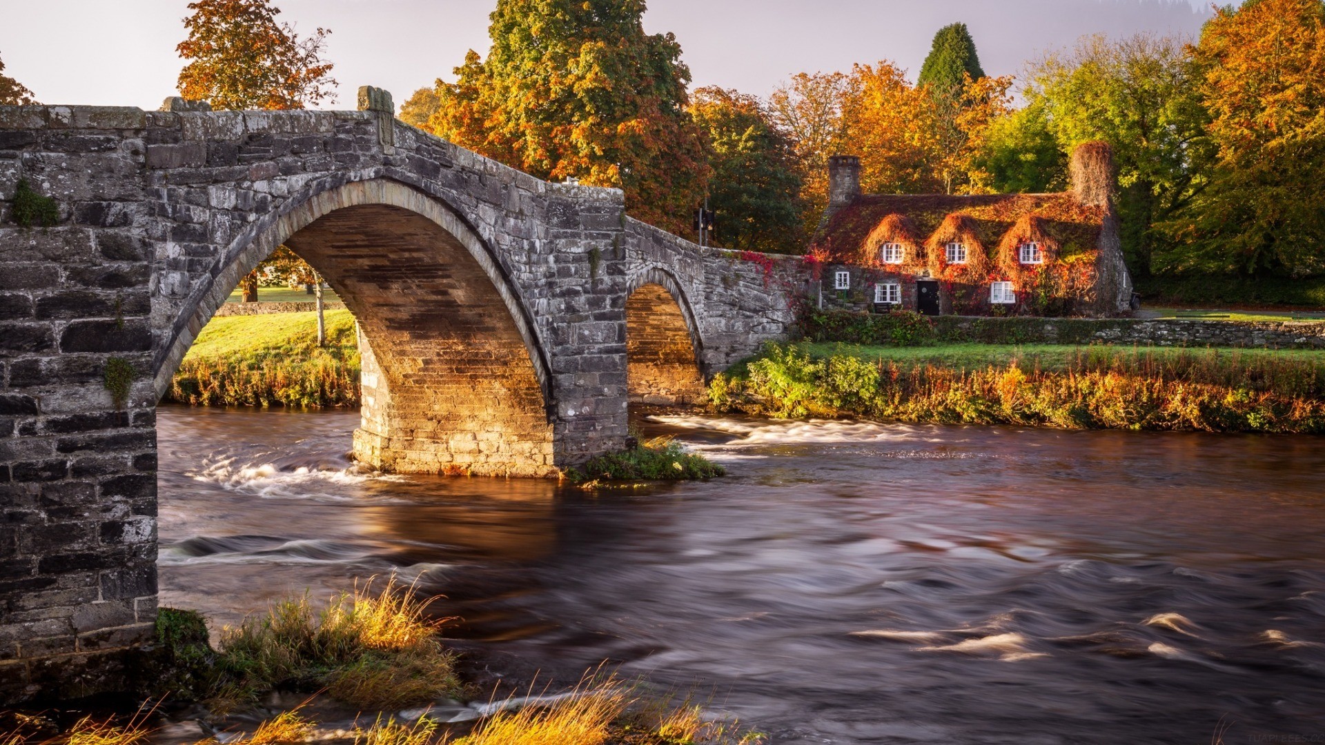 小学语法，小学语法知识大全英语？