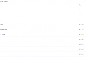 2021初三英语毕玉琦寒假初中视频课程