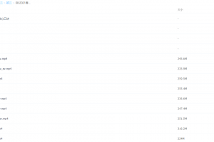 2021课堂春季袁媛八年级物理课程（包含期末汇编资源）