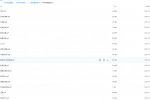 20中考冲刺班杨瑛中考物理解题技巧讲解资料知识点整理