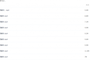 2021届寒假班(HL绝密)-高二谢欣然寒假30天学习计划 小视频解析