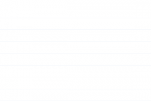 2021届寒假班(HL绝密)-高三陈瑞椿作文素材