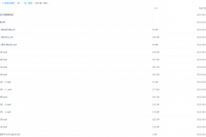 2021届高一语文张宁寒假班(HL绝密)