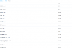 2021届春季班(HL绝密)-高三政治朱法垚春班课程