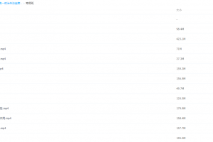 2021届高一政治朱法垚寒假班(HL绝密)