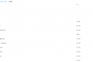 2021届寒假班(HL绝密）-高一化学吕子正寒假班