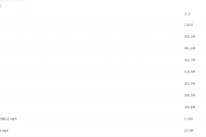 2021届寒假班(HL绝密)-高三物理耿佩二轮视频课