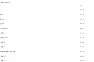 2021届寒假班(HL绝密)-高三物理武文成视频课