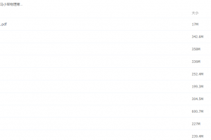 2021届高一马小军物理寒假班(HL绝密)