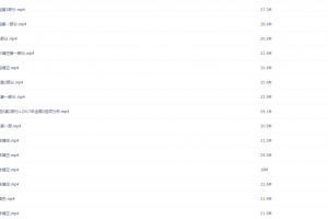 2021届寒假班(HL绝密)-高三徐磊老师30天打卡英语真题精讲